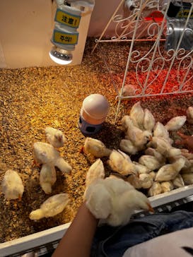 アニタッチアクアシティお台場に投稿された画像（2023/8/16）