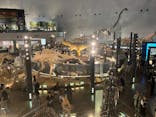 福井県立恐竜博物館に投稿された画像（2023/8/16）