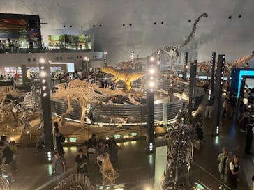 福井県立恐竜博物館に投稿された画像（2023/8/16）