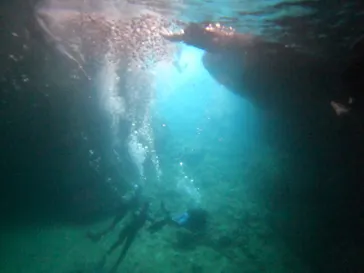 武藤潜水に投稿された画像（2023/8/16）