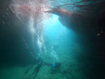 武藤潜水に投稿された画像（2023/8/16）