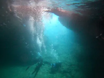 武藤潜水に投稿された画像（2023/8/16）