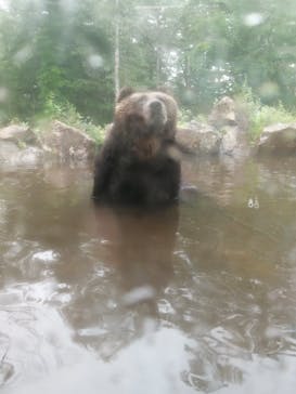 サホロリゾート　ベア･マウンテンに投稿された画像（2023/8/16）