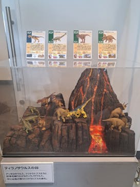 福井県立恐竜博物館に投稿された画像（2023/8/16）