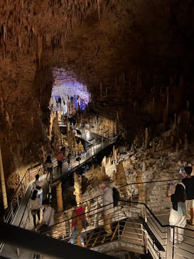 おきなわワールドに投稿された画像（2023/8/16）