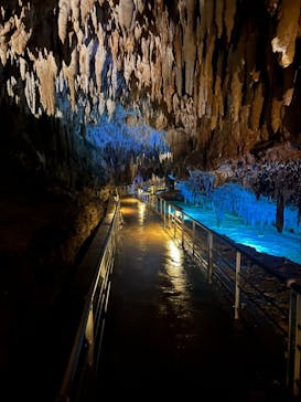 おきなわワールドに投稿された画像（2023/8/16）