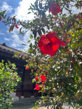 おきなわワールドに投稿された画像（2023/8/16）