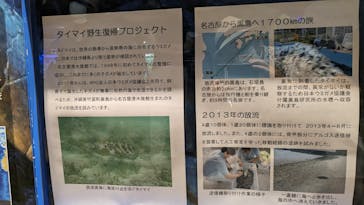 名古屋港水族館に投稿された画像（2023/8/16）