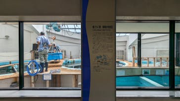 名古屋港水族館に投稿された画像（2023/8/16）