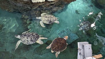 名古屋港水族館に投稿された画像（2023/8/16）