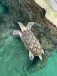 名古屋港水族館に投稿された画像（2023/8/16）