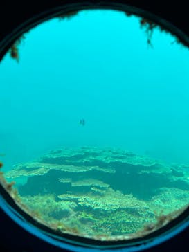 串本海中公園水族館に投稿された画像（2023/8/16）
