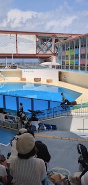 伊豆・三津シーパラダイスに投稿された画像（2023/8/16）