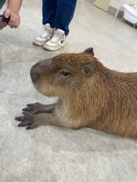 アニタッチみなとみらいに投稿された画像（2023/8/16）