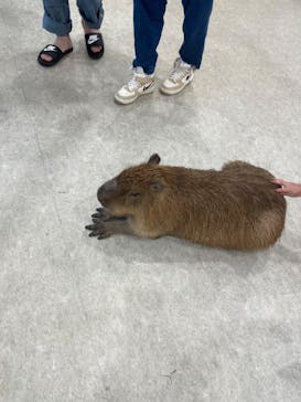 アニタッチみなとみらいに投稿された画像（2023/8/16）