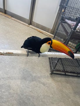 アニタッチみなとみらいに投稿された画像（2023/8/16）