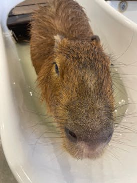 アニタッチみなとみらいに投稿された画像（2023/8/16）