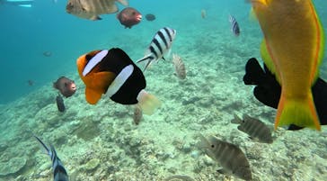 沖縄マリンサービス碧に投稿された画像（2023/8/16）