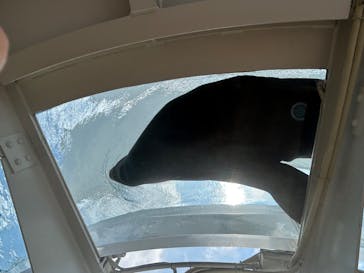 サンシャイン水族館に投稿された画像（2023/8/16）