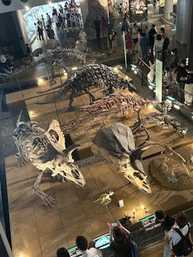 福井県立恐竜博物館に投稿された画像（2023/8/16）