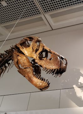 大阪市立自然史博物館に投稿された画像（2023/8/16）