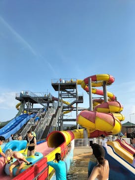 蓮沼ウォーターガーデンに投稿された画像（2023/8/16）