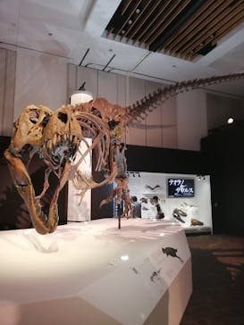 DinoScience 恐竜科学博 2023@TOKYO MIDTOWNに投稿された画像（2023/8/16）