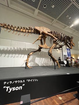 大阪市立自然史博物館に投稿された画像（2023/8/16）