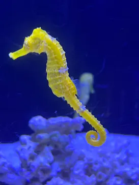 マクセル アクアパーク品川に投稿された画像（2023/8/16）