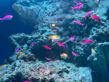 マクセル アクアパーク品川に投稿された画像（2023/8/16）