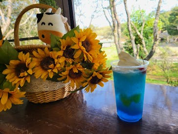 成田ゆめ牧場に投稿された画像（2023/8/16）