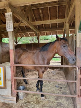 成田ゆめ牧場に投稿された画像（2023/8/16）