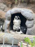 サンシャイン水族館に投稿された画像（2023/8/16）