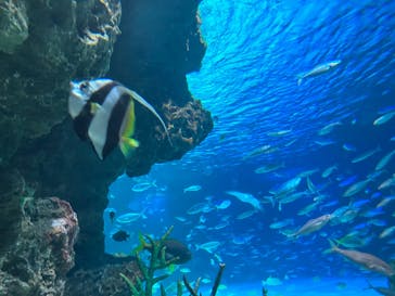 サンシャイン水族館に投稿された画像（2023/8/16）
