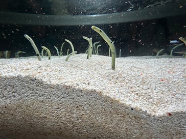 AOAO SAPPOROに投稿された画像（2023/8/16）