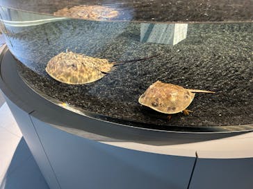 AOAO SAPPOROに投稿された画像（2023/8/16）