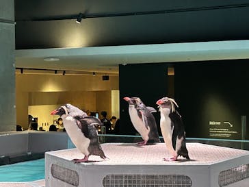 AOAO SAPPOROに投稿された画像（2023/8/16）