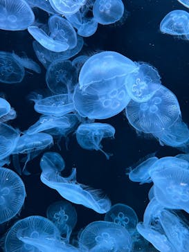 AOAO SAPPOROに投稿された画像（2023/8/16）