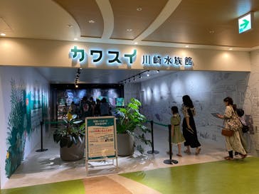 カワスイ 川崎⽔族館に投稿された画像（2023/8/16）