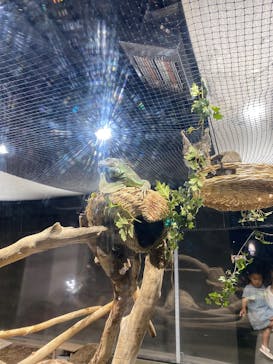 カワスイ 川崎⽔族館に投稿された画像（2023/8/16）