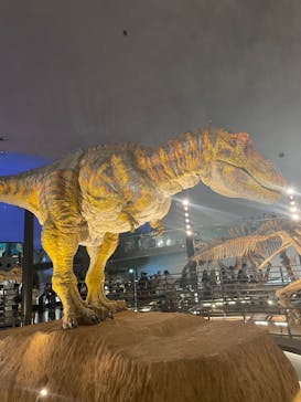 福井県立恐竜博物館に投稿された画像（2023/8/16）