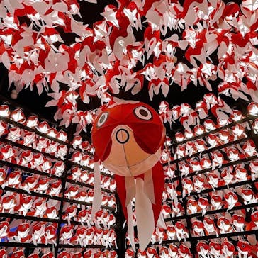 NARA IKIMONO MUSEUMに投稿された画像（2023/8/16）