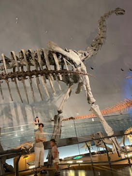 福井県立恐竜博物館に投稿された画像（2023/8/16）