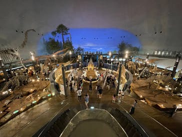 福井県立恐竜博物館に投稿された画像（2023/8/16）