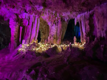 石垣島鍾乳洞に投稿された画像（2023/8/16）