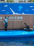 仙台うみの杜水族館に投稿された画像（2023/8/16）