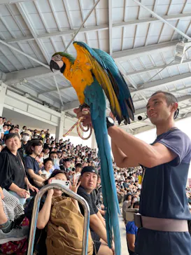 仙台うみの杜水族館に投稿された画像（2023/8/16）