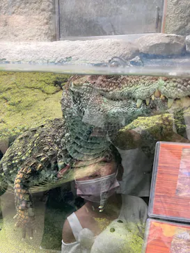 仙台うみの杜水族館に投稿された画像（2023/8/16）