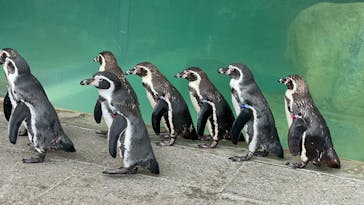 城崎マリンワールドに投稿された画像（2023/8/16）