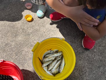 城崎マリンワールドに投稿された画像（2023/8/16）